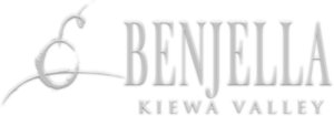 Benjella_mobile_logo2x